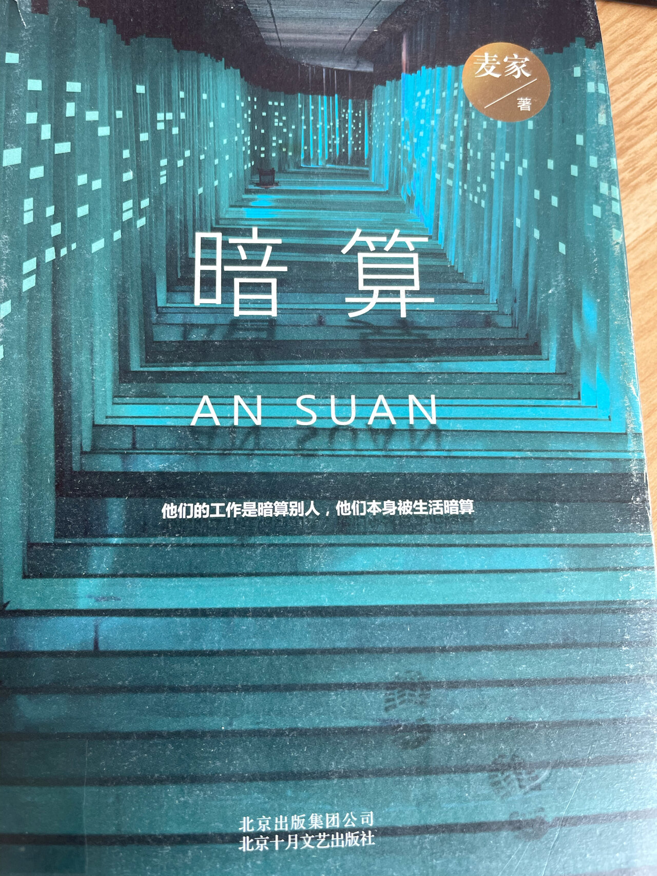 暗算(暗算电视剧剧情介绍)